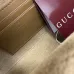 Gucci Dionysus GG Canvas Chain Crossbody 876531 #B66151