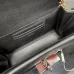Gucci Dionysus Leather Chain Crossbody Bag 876531 #B66149
