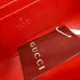 Gucci Dionysus Leather Chain Crossbody Bag 876531 #B66149