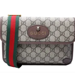 GUCCI Supreme Neo Web Belt Brown   #B65579