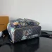 Louis Vuitton Backpack MONTSOURIS CARGO Damier Palm Trees ww size:34×40×17cm #B53316