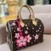 LV Limited Edition Monogram Speedy  #B50213