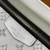 Louis Vuitton Outdoor Waist Crossbody Bag M30247, 21x17x5cm #A69534
