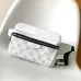 Louis Vuitton Outdoor Waist Crossbody Bag M30247, 21x17x5cm #A69534