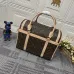 Louis Vuitton pet bag #B38889