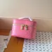 Louis Vuitton Epi Leather Vanity Case Collection - Luxury Cosmetic Bags with Gold-Tone Zippers in Multiple Elegant Colors M25857 #B58335