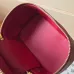 Louis Vuitton Epi Leather Vanity Case Collection - Luxury Cosmetic Bags with Gold-Tone Zippers in Multiple Elegant Colors M25857 #B58335