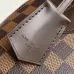 Louis Vuitton Handbag Damier Ebene Canvas Alma BB #B49980