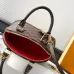 Louis Vuitton Handbag Damier Ebene Canvas Alma BB #B49980