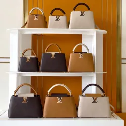 Louis Vuitton Handbags Capucine #B51546