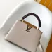Louis Vuitton Handbags Capucines Taurillon #B51108