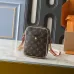 Louis Vuitton Luxury Monogram Crossbody Bags #B50431