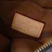 Louis Vuitton Luxury Monogram Crossbody Bags #B50431