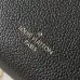 Louis Vuitton Side Trunk M23817 #B58077