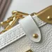 Louis Vuitton Side Trunk M23915 #B58076