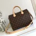 Louis Vuitton Speedy Icons Women Bag #B49245