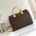 Louis Vuitton Speedy Icons Women Bag #B49245