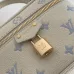 LV Vanity Chain Pouch Leather Crossbody Cosmetic Bag 11.5×6.5×19cm #B65053