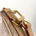 Louis Vuitton Escape LV Travels With Grace Coddington M15134 #B58355