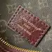 Louis Vuitton Multipass Mini Chain Crossbody Bag M3A247, 17.5x18x9.5cm #A69527
