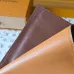 Louis Vuitton Monogram Passport Cover M14733 14x2.5cm #B63875