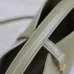 SAINT LAURENT Le 5 à 7 Small Bucket Bag – Olive Green Smooth Leather with Gold YSL Logo (Adjustable Crossbody Strap) #B58773