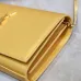 Saint Laurent CASSANDRE Chain Wallet (743364) - Gold, Italian Leather, Detachable Strap, 23×14×3cm #B59987