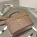 Saint Laurent GABY MINI Quilted Leather Vanity Case 18×11×6.5cm #B65025