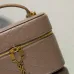 Saint Laurent GABY MINI Quilted Leather Vanity Case 18×11×6.5cm #B65025