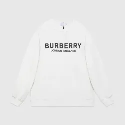 Burberry Hoodies high quality euro size #99923324