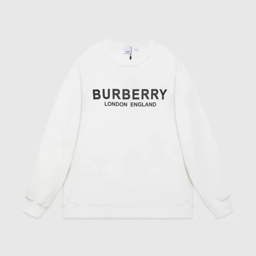 Burberry Hoodies high quality euro size #99923324