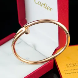 Cartier Bracelets #9111436