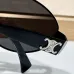 CELINE AAA+ Sunglasses #B35318
