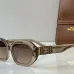CELINE AAA+ Sunglasses #B51172