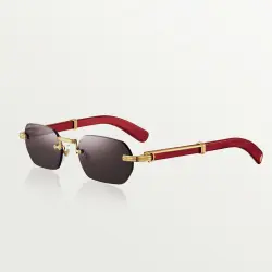 Cartier AAA+ Sunglasses #9999928119