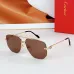 Cartier AAA+ Sunglasses #B48253