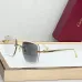 Cartier AAA+ Sunglasses #B66053