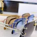 Cartier AAA+ Sunglasses #B66055