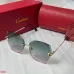 Cartier Sunglasses #B46484
