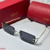 Cartier Sunglasses #B46484
