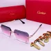Cartier Sunglasses #B48514