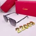 Cartier Sunglasses #B50344