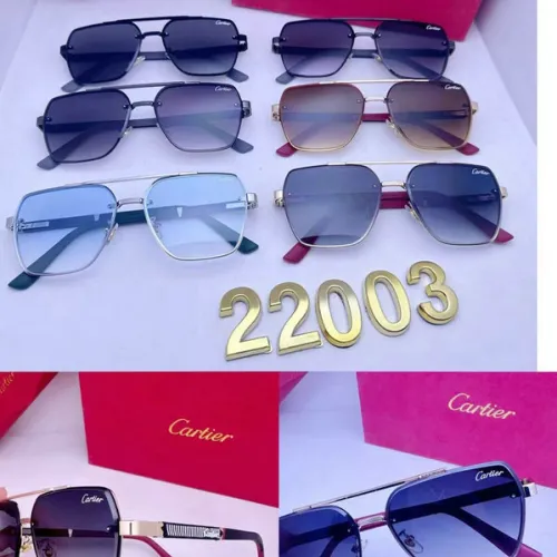 Cartier Sunglasses #B50344