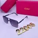 Cartier Sunglasses #B50345