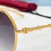 Gucci AAA Sunglasses #A67529