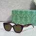Gucci AAA Sunglasses #B66043