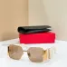 YSL AAA+ Sunglasses #A67541