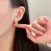 Dior Earrings #B52875