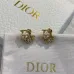 Dior Earrings #A68896