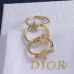 Dior Neckties #B66969
